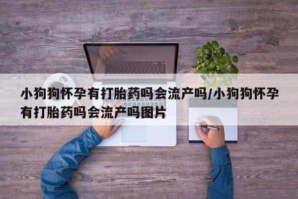 米非司酮片药店可以买吗小狗狗怀孕有打胎药吗会流产吗/小狗狗怀孕有打胎药吗会流产吗图片
