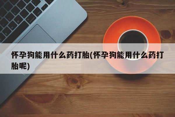 米非司酮片药店可以买吗怀孕狗能用什么药打胎(怀孕狗能用什么药打胎呢)